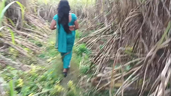 Ngentot Istri Tetangga Di Kebun Tebu, Basah Kuyup Minta Digebukin